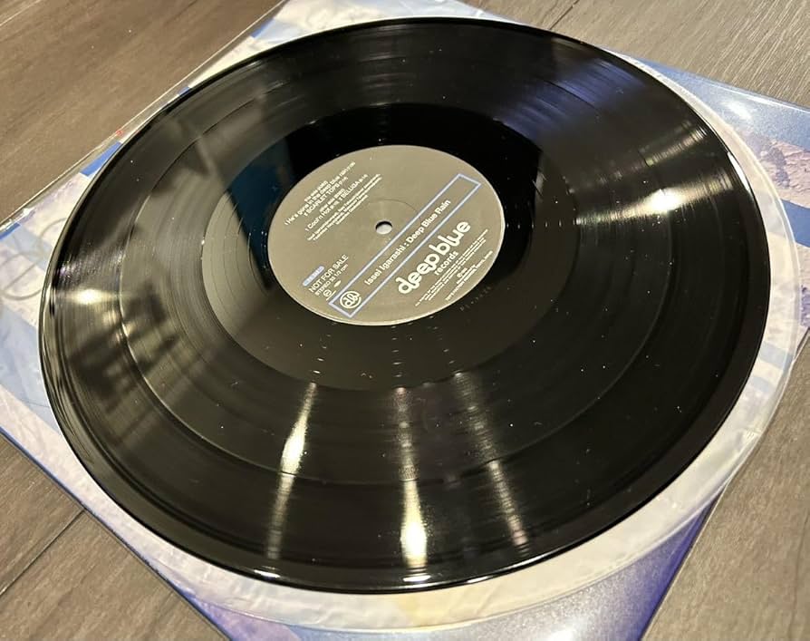 須磨の嵐　レコード　オリジナル盤 20世紀ハイツ：レコード・書籍類【レコードCD】