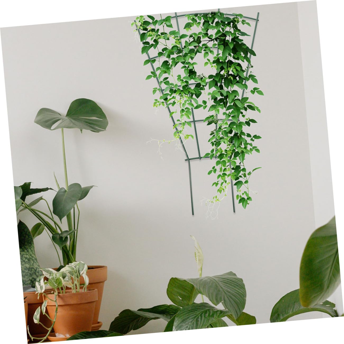 Set di tralicci da giardino per piante rampicanti, 4 pezzi, pergola in metallo, gabbia per pomodori, cetrioli, traliccio da parete, supporto per piante da esterno per aiuole rialzate e piante di vite
