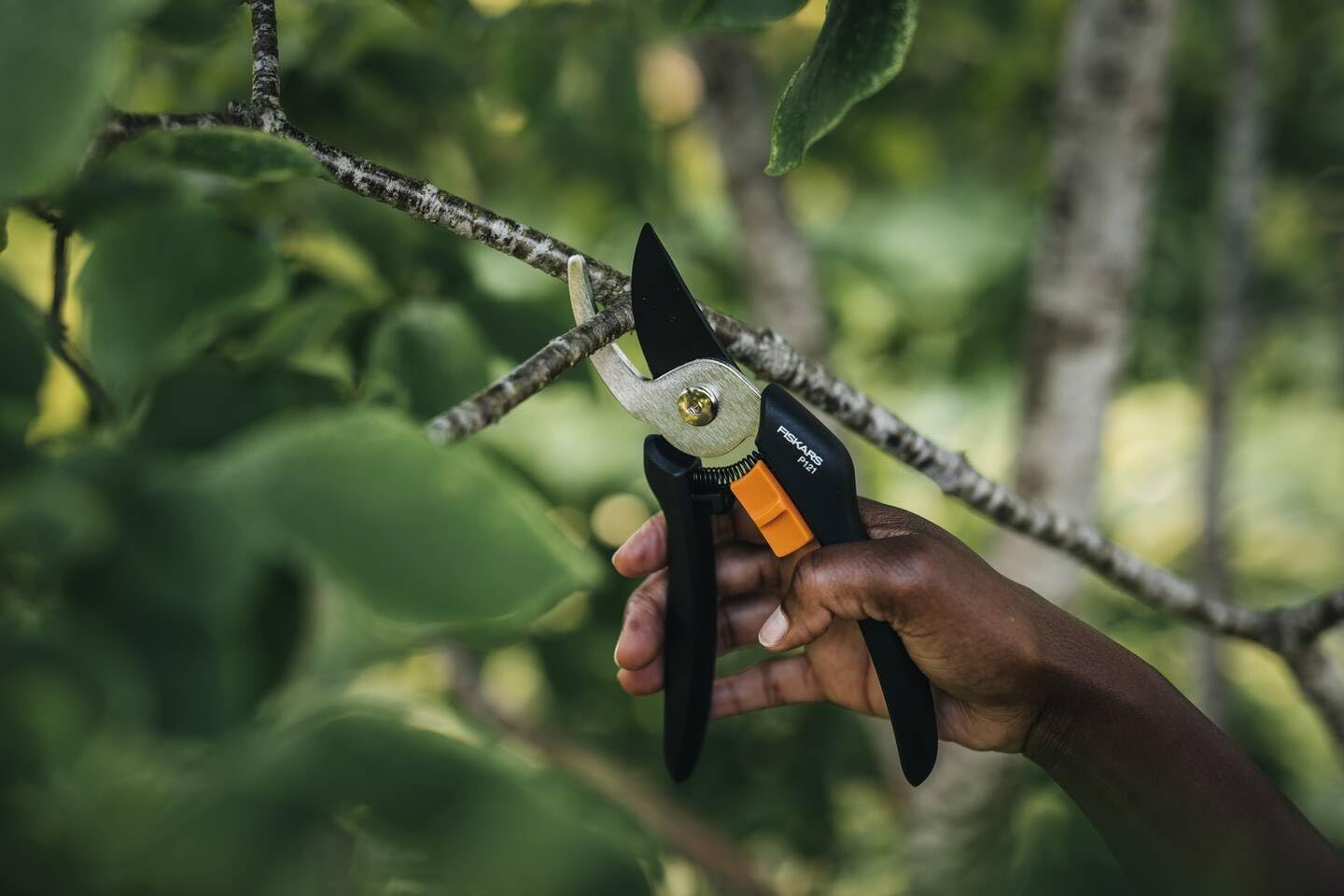 Xact Weed Puller Planters & Pruner eCom