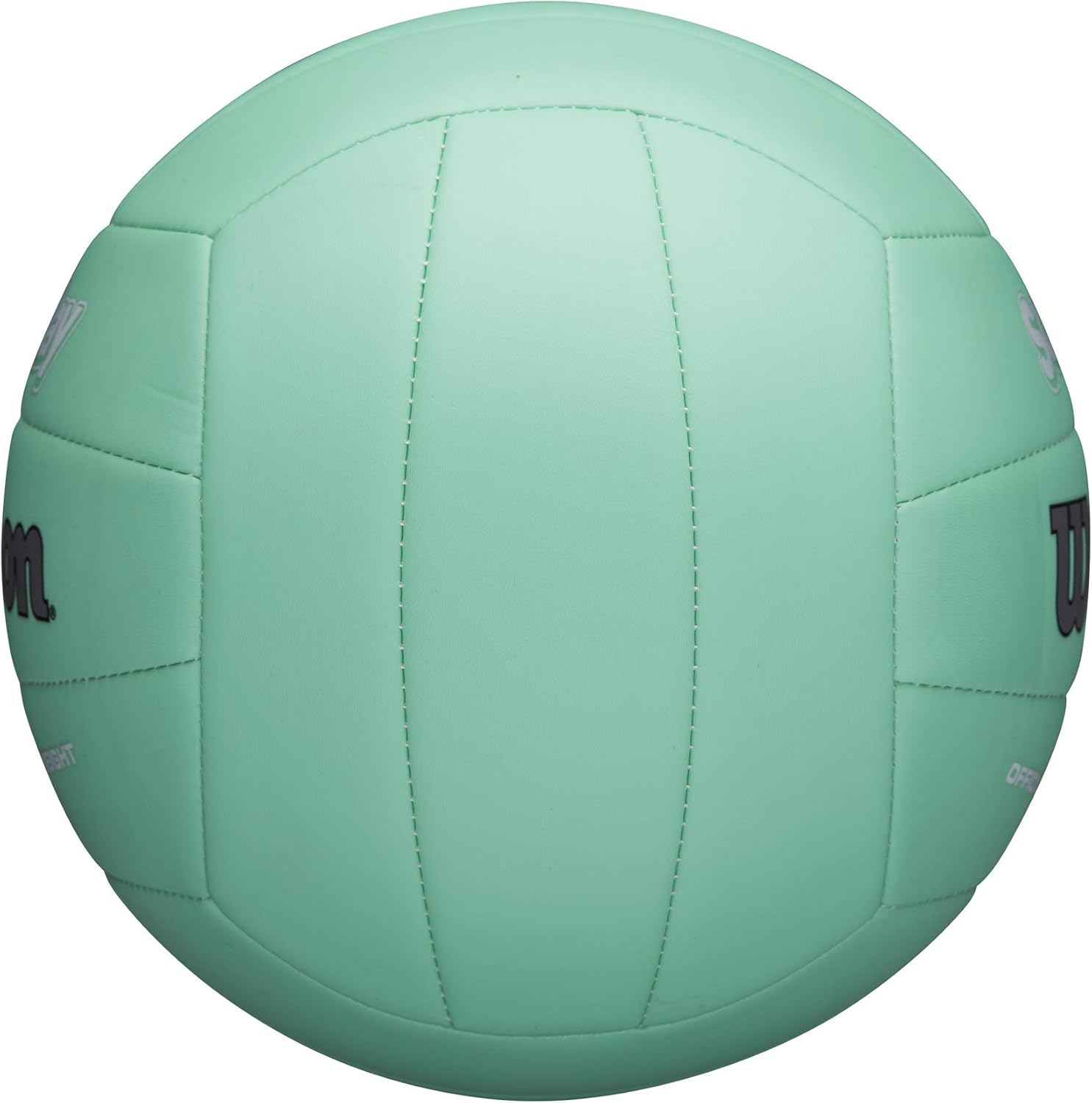 WILSON Soft Play Volleyball - Mint : Sports & Outdoors