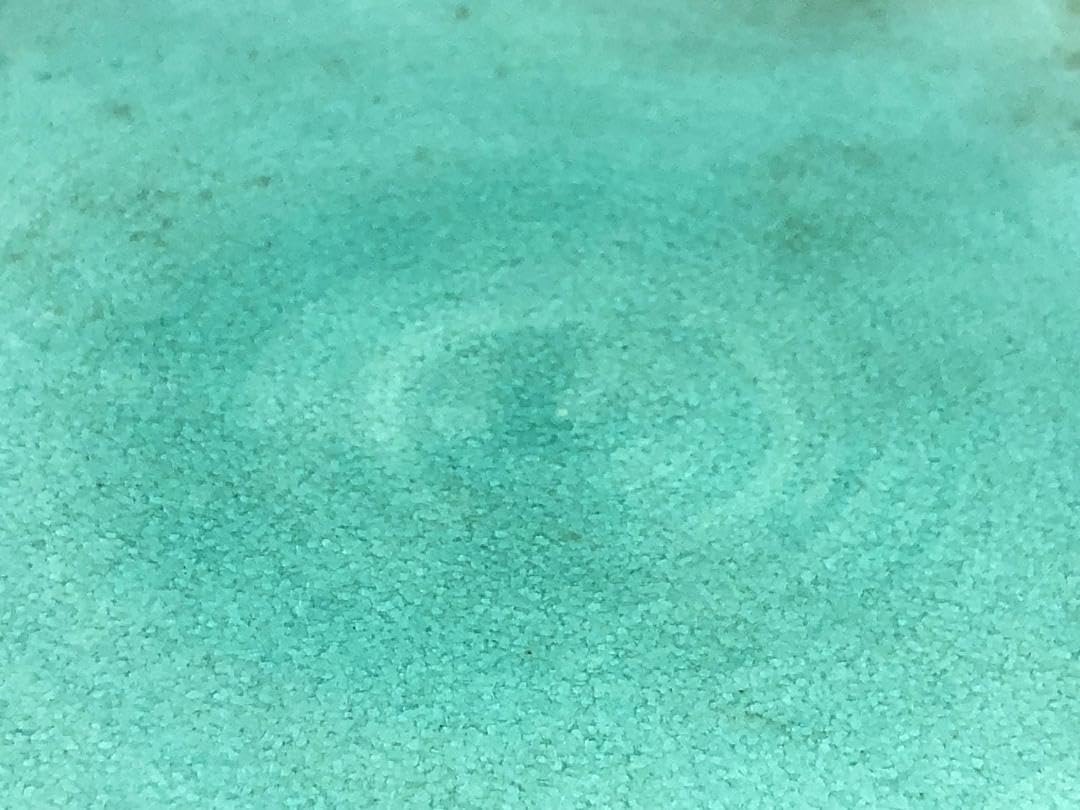 【 粟生屋東洸 作　定窯輪花縁皿 】　中村東洸　加陽庵 粟生屋東洸 作 定窯輪花縁皿 】 中村東洸 加陽