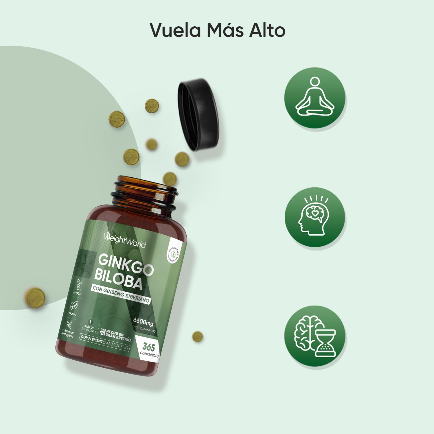 Ginkgo Biloba 6600 mg - 365 Comprimidos Veganos con Ginseng Siberiano 50:1 - Con 28 mg Flavonoides y 7,2 mg Terpenos - Suplemento de Origen Natural para 1 Año, Sin Gluten ni Estearato de Magnesio