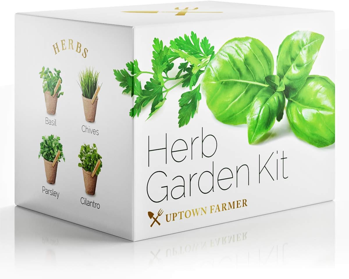 Herb Garden Starter Kit Indoor – Gardening Gifts With Non-GMO Heirloom Seeds (Basil Chives Parsley Cilantro) Soil, Pots, Scissors, Markers – Gardener Gift For Women