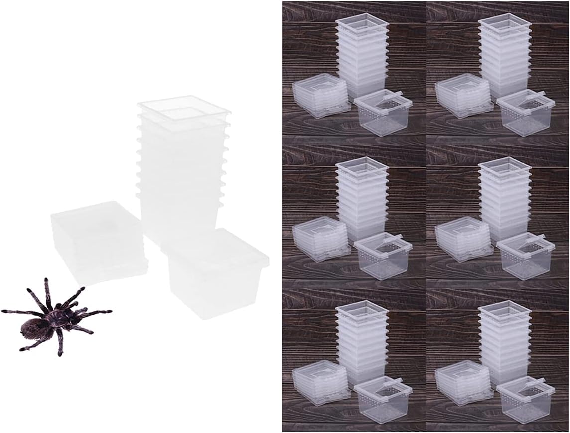 60 Pcs 2.56x2.56x1.73 inch Acrylic Small Reptile Breeding Box, Spider Insect Reptile Small Transparent Hatching Container