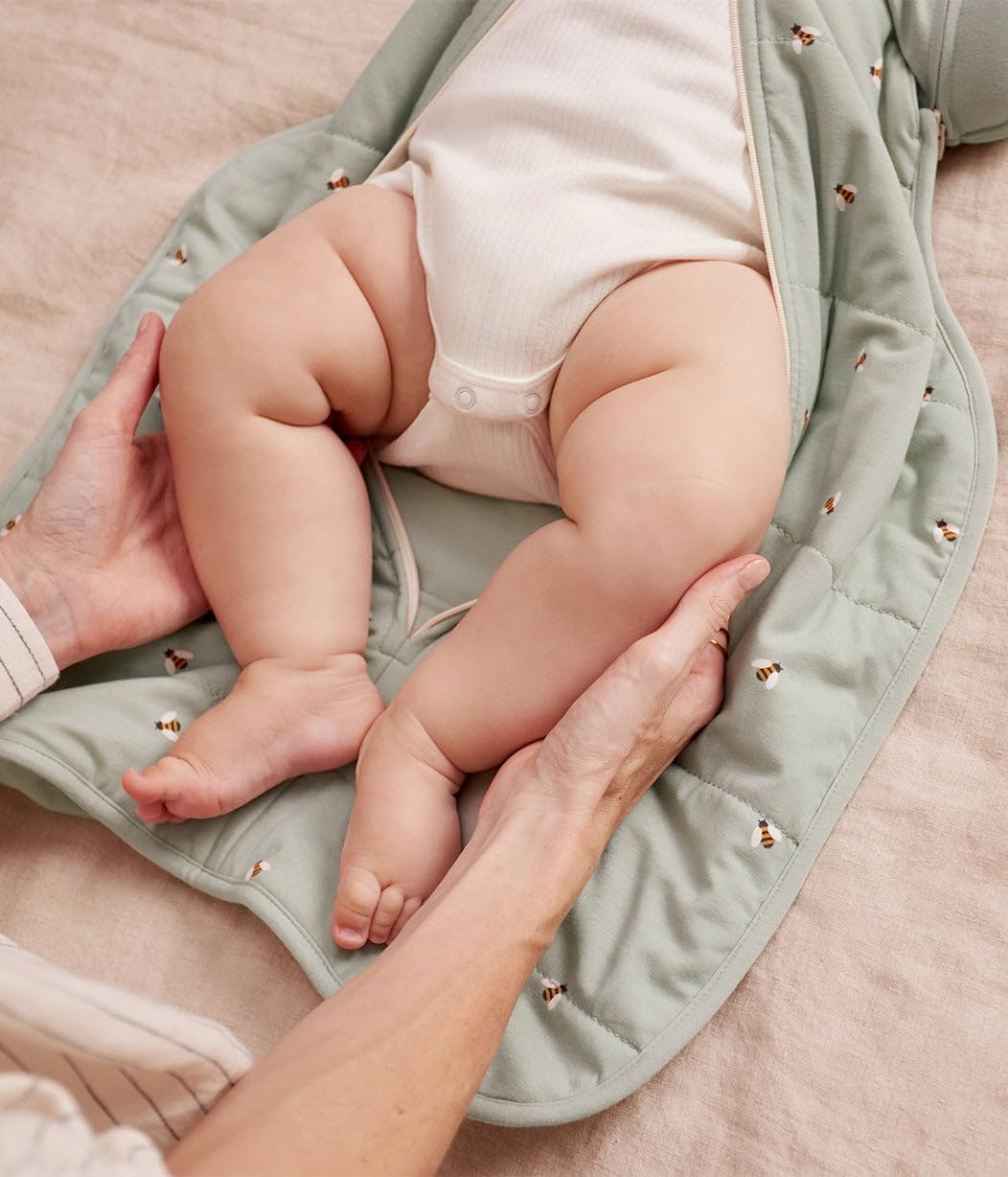 Love To Dream Swaddle UP sacco nanna, taglia grande 8,5-11 kg - Api Oliva | Vestibilità con ali rimovibili | 2,5 Tog per autunno e inverno (16–20°C) | Cotone e doppia cerniera