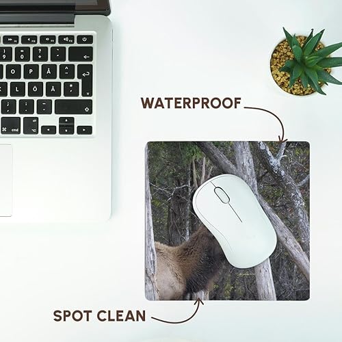 Miniatura 7 de 3dRose LLC 8 x 8 x 0.25 inches alces Mouse Pad (MP _ _ _ _ _ _ _ _ _ _ 21059 _ _ _ _ _ _ _ _ _ _ 1)