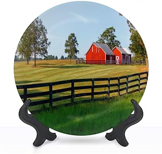 Decorative Plates for Display 8" Barn Red Barn American Flag Family Farm Miami County Indiana Ceramic Ornament with Display Stand and Hook Up for Wall Decor Hanging Festival Wedding Gift