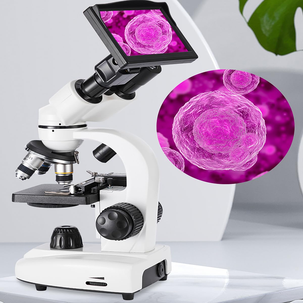 Microscopio Binocular Profesional, Equipo De Laboratorio, 30000x, 4*Objetivo/4*Ocular, con Pantalla, Pie De Rey, Conjunto De Investigación, para Enseñanza E Investigación-30000