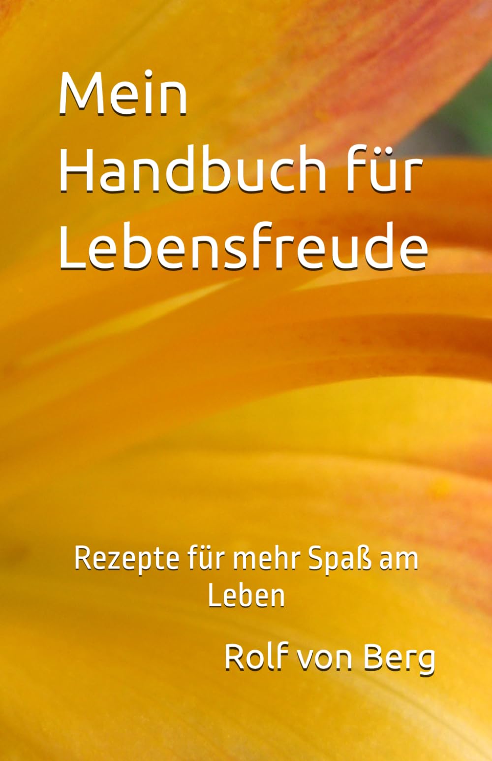 Mein Handbuch für Lebensfreude: Rezepte für mehr Spaß am Leben