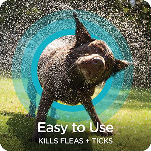 Sergeant's Guardian Flea & Tick Dog Shampoo, Clean Cotton Scent, 18 oz. - Image 6