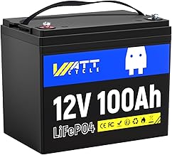 12V 100Ah LiFePO4 Lithium Battery - BCI Group 24, 15000 Cycles, Built-in 100A BMS, Low-Temperature Protection - Ideal for RVs, Golf Cart, Home Energy Storage, Boats and Marine Applications