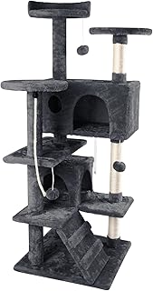 large cat activity centre