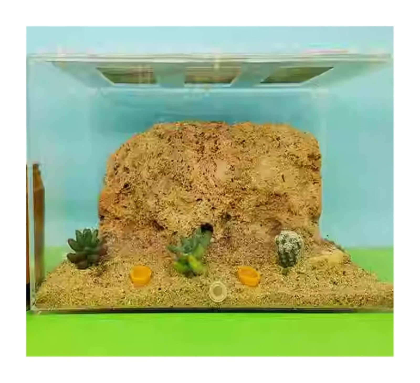 Formicarium pour Fourmis, Nid de château Maison formicarium Fourmis en Acrylique Transparent for l'observation Scientifique. Taille