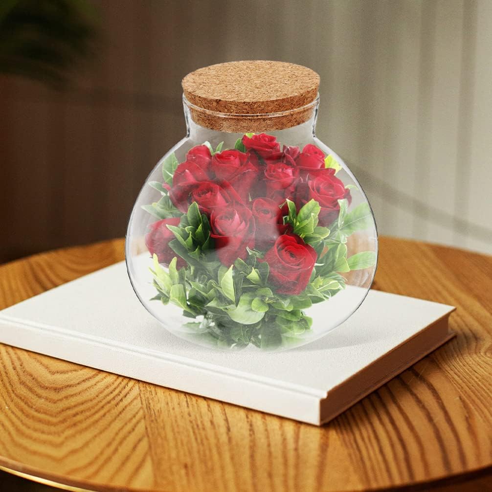 Operitacx 2pcs Landscape Glass Bottle Terrarium Kit Cork Sealed Moss Plant Container for Display Home Decor Office Planter