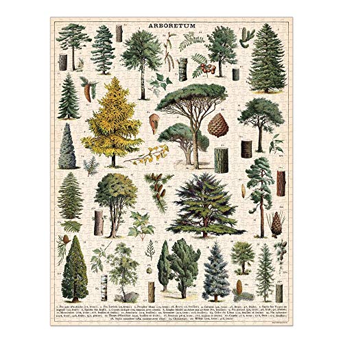 Cavallini Papers & Co. PZL/Tree Arboretum 1000 Teile Puzzle, Mehrfarbig/Meereswellen (Ocean Tides)