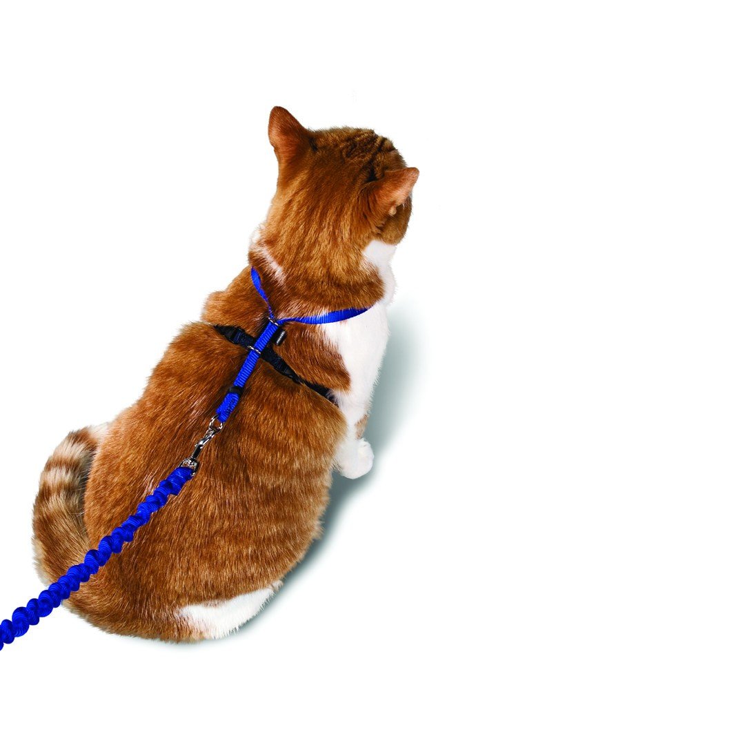 good2go cat harness instructions
