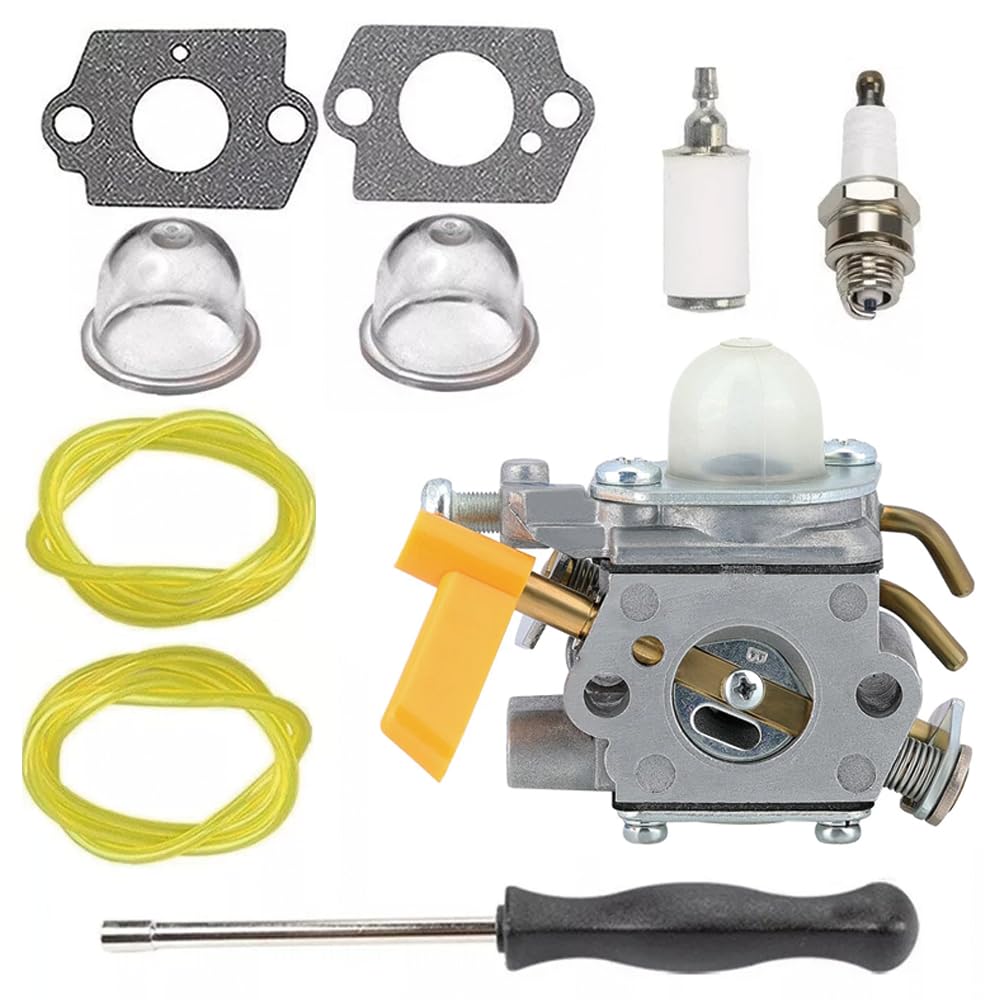 Amazon.com: Carburetor for Homelite 308054111 308054034 Zama