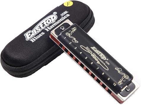 Diatonic Blues Harmonica 10 Holes Blues Harmonica 20 tones black T008K with Case,More Professional Harmonica for Beginner,Students,Adults and Professional Player Key of F