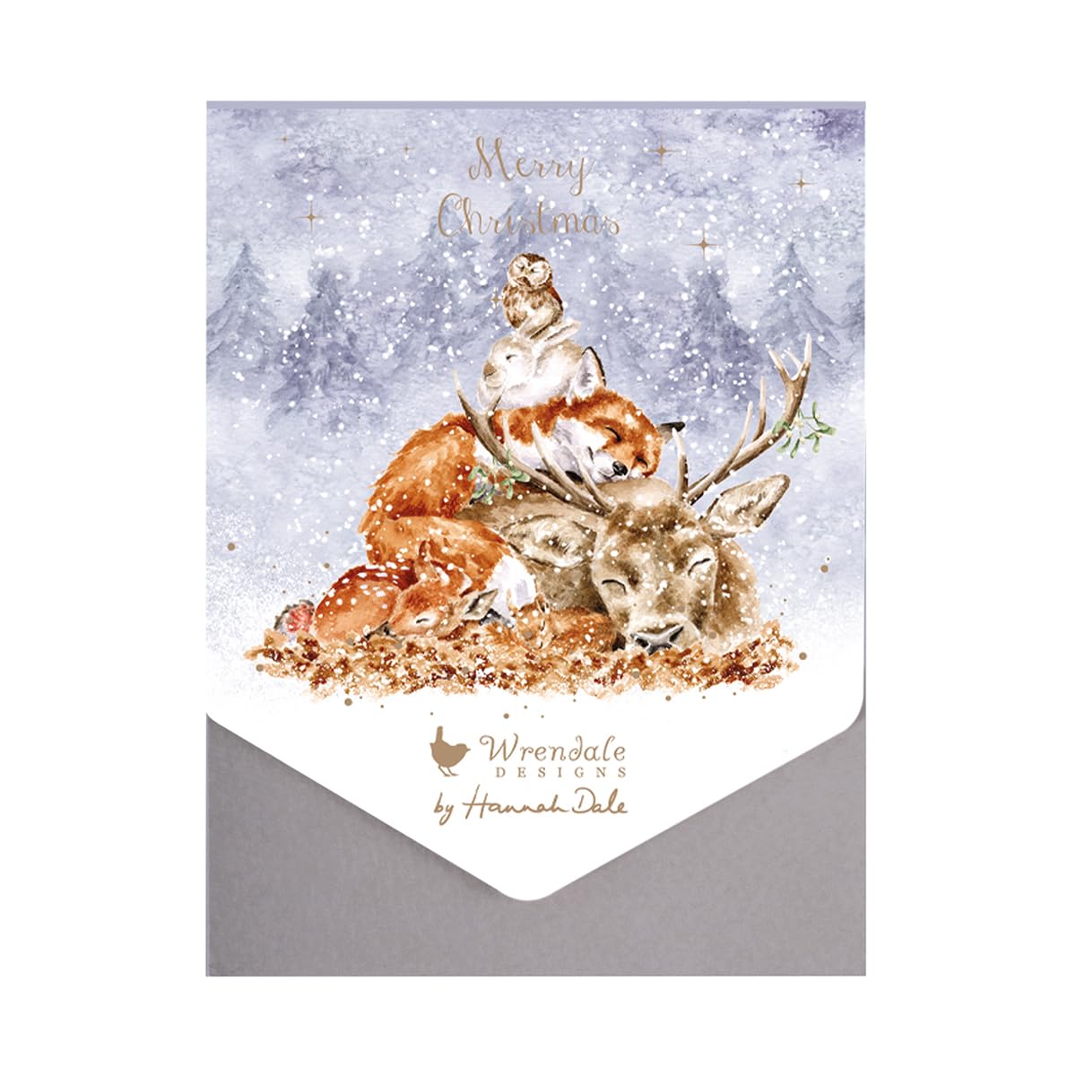 Wrendale Designs - Comfort and Joy' Animal Christmas Card Pack