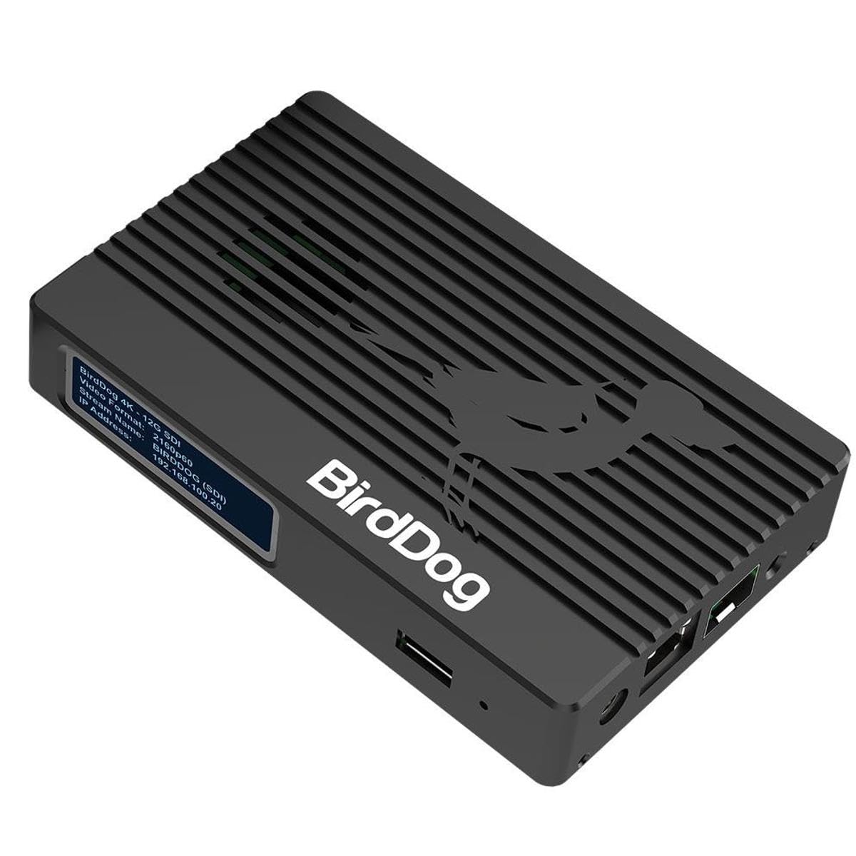 Amazon.com: BirdDog 4K 12G-SDI NDI Encoder/Decoder : Electronics