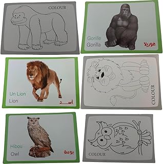 40 pieces of double-sided paper. One side has a picture of the animal with its name in Arabic and English, and the other side has a drawing of the animal in black and white.