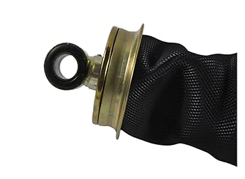 Amazon.com: Cabin Shock Absorber Air Spring 81417226051