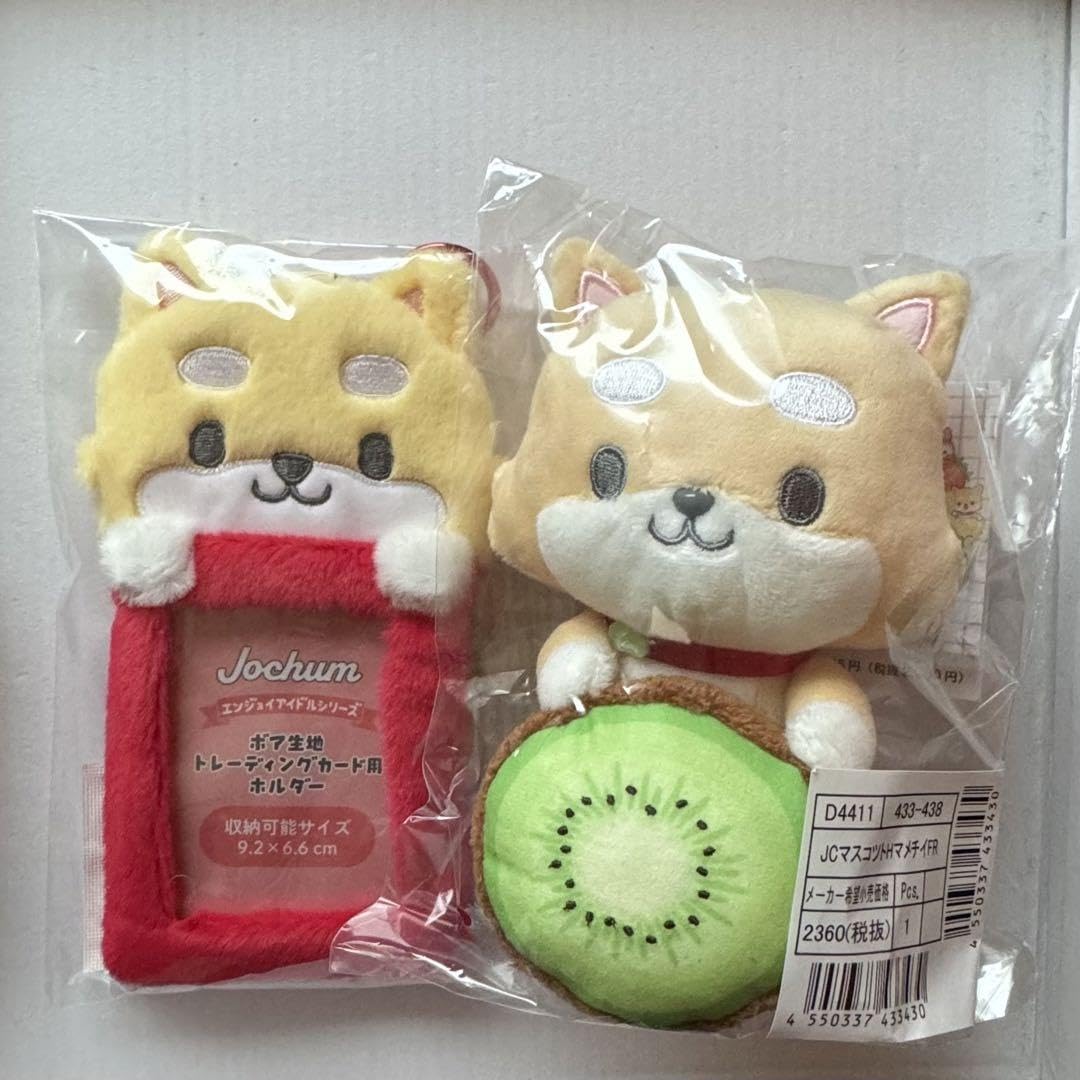 まめちい おひるねタイム💤 #JOCHUM #CHUMILY #まめちぃ #RURU #わんわん