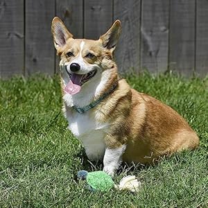   Stuffed-Turtle-Plush-Toy-for-Dogs-Cute-and-Durable-Stuffed-Animal-Sustainable-Rope-Chew-Toys-for-Puppies-and-Adult-Dogs-Made-from-Eco-Friendly-materials-Go-Green