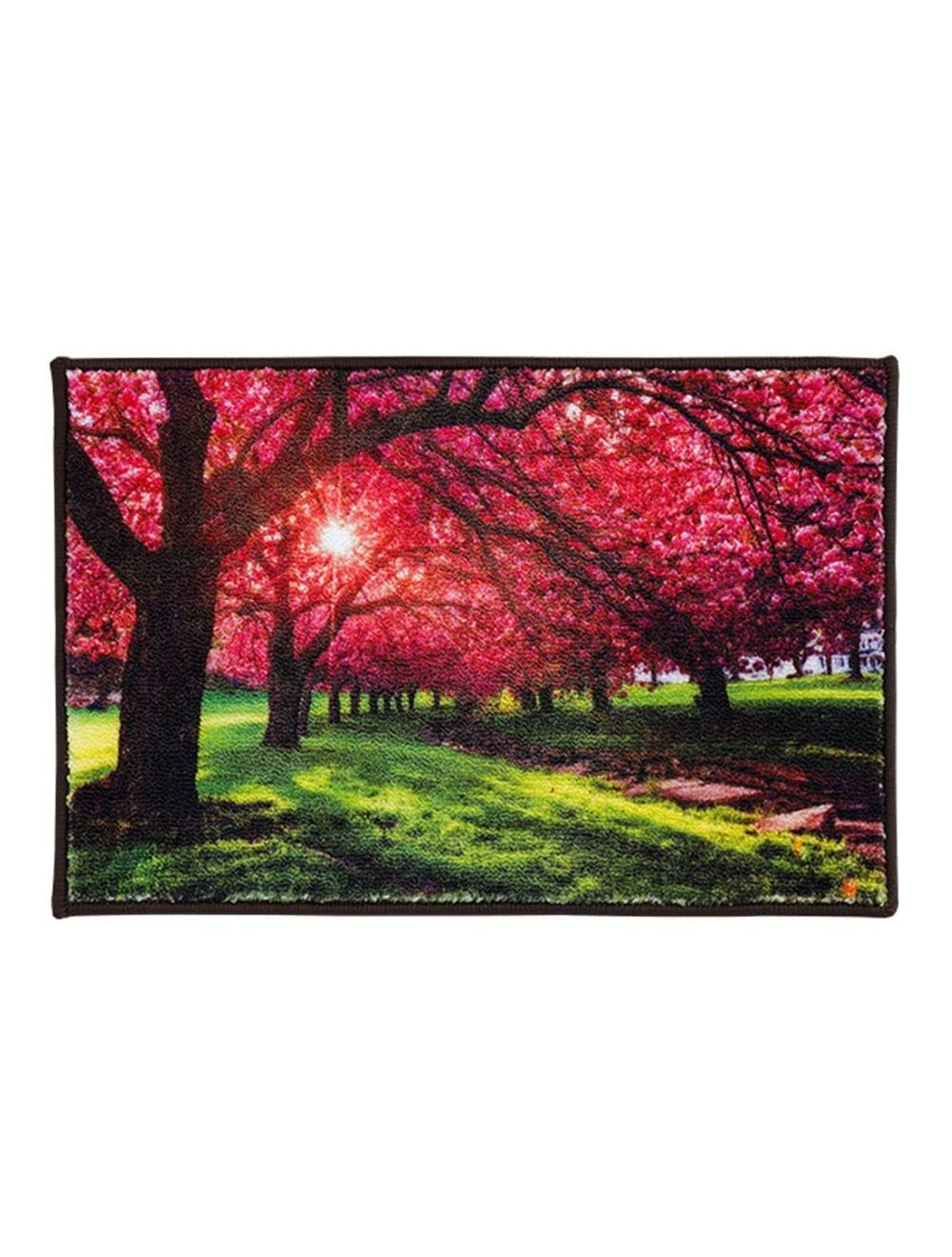 Super Soft Anti Slip Durable Doormat for Home, Bath Mat, Door Mat, Kitchen Mat, Smooth & Water Absorbent Bathmat Lexington LX-06 (60 cm x 40 cm)