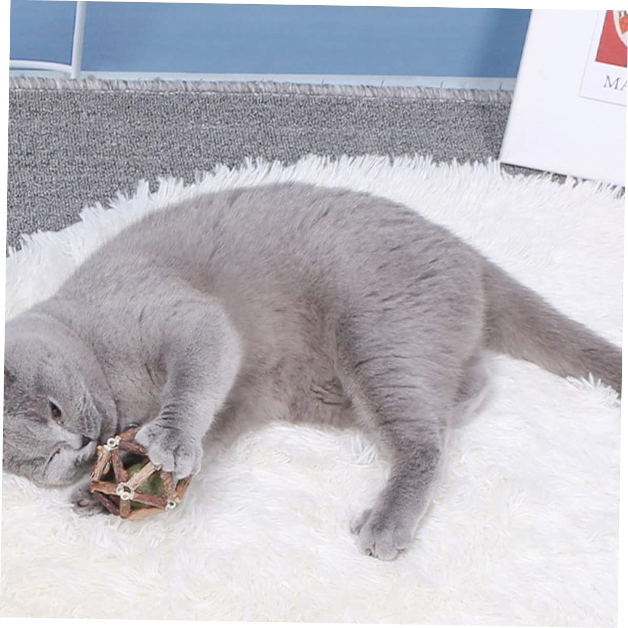 minkissy 12 Piezas de Juguete de gatera para de Gatos, para Gatos pequeños, Juguetes para para, Bolas, de Gato, Juguete de de de