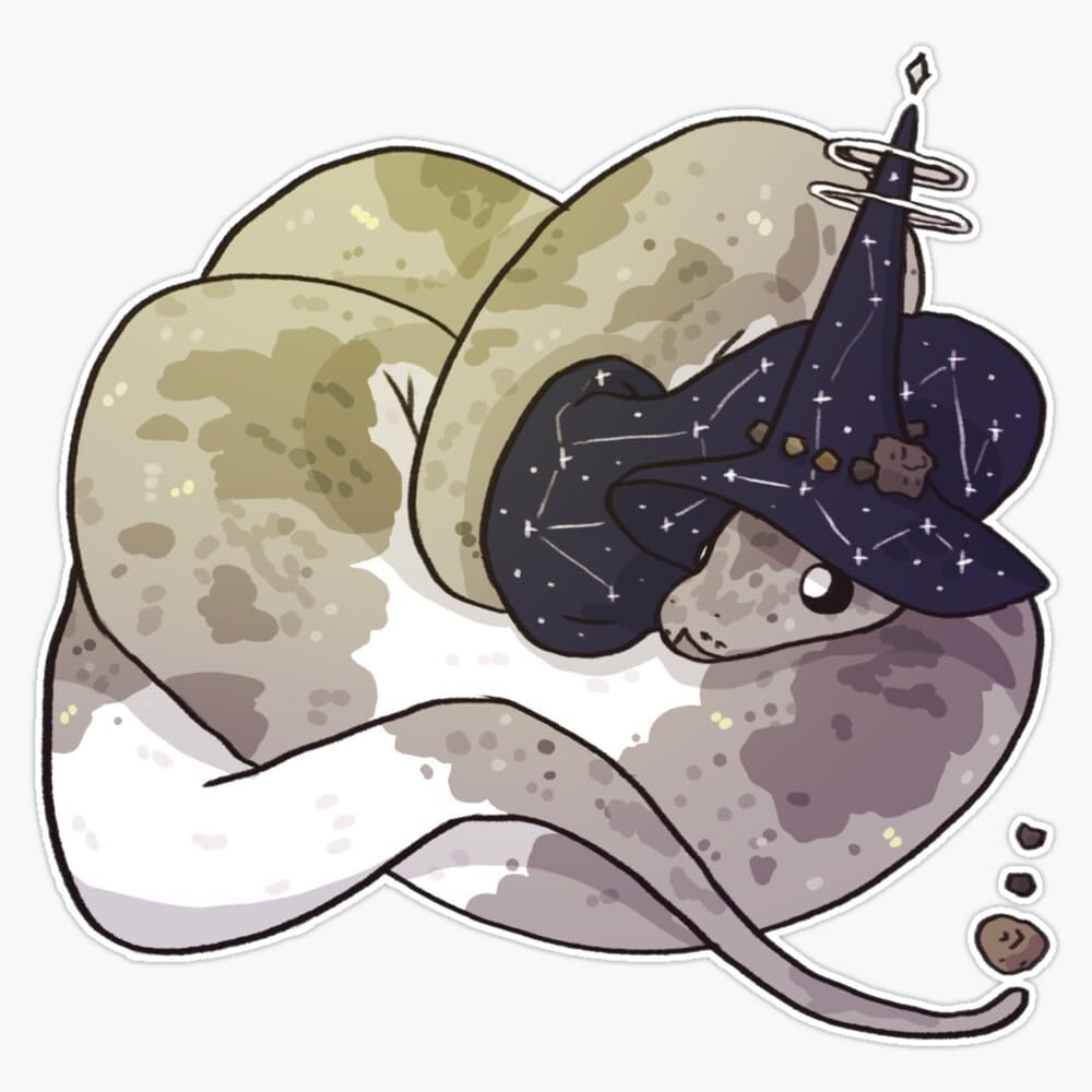 Amazon.com - Ball Python - Anorthosite Sticker Bumper Sticker Vinyl ...