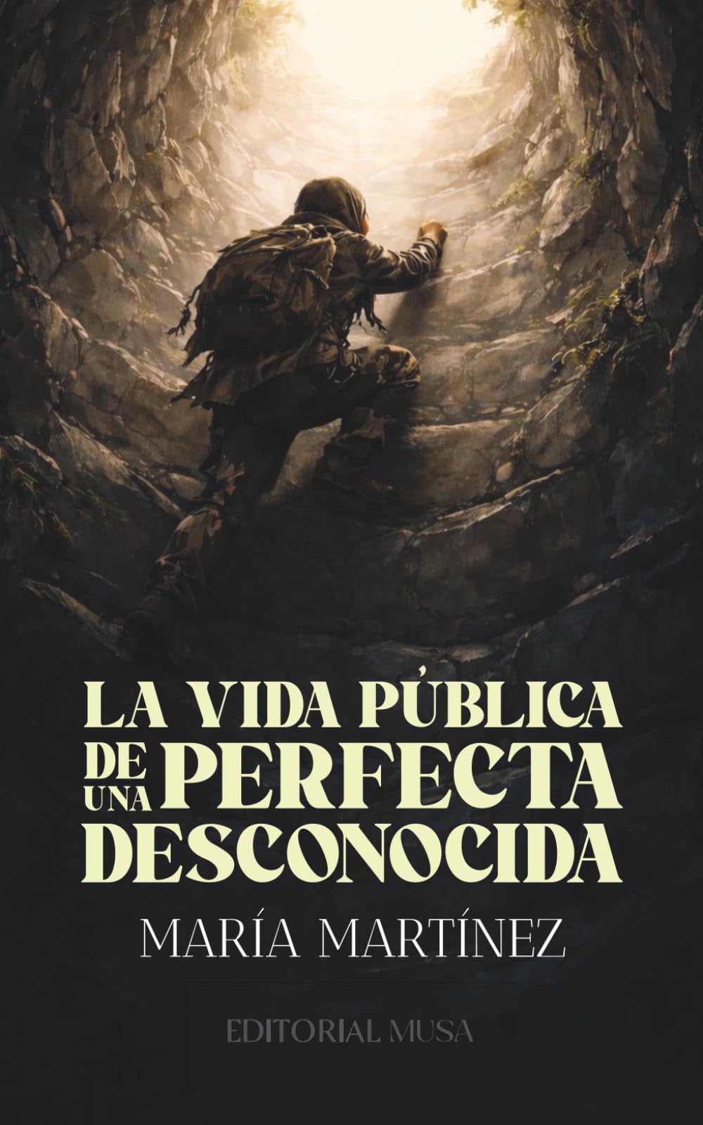 La vida pública de una perfecta desconocida: Una historia real de infancia, violencia y resiliencia en la vida de una mujer que decidió romper su destino