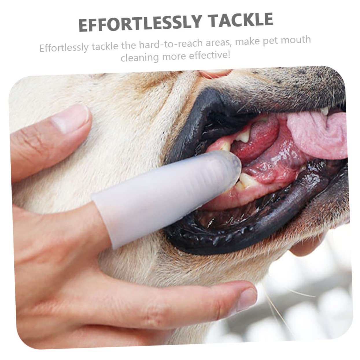 Kisangel 3pièces Brosse à Dents Silicone Pour Chien Outil De Nettoyage Dents Animaux Pour Chiots Prévention Plaque Et Du Tartre