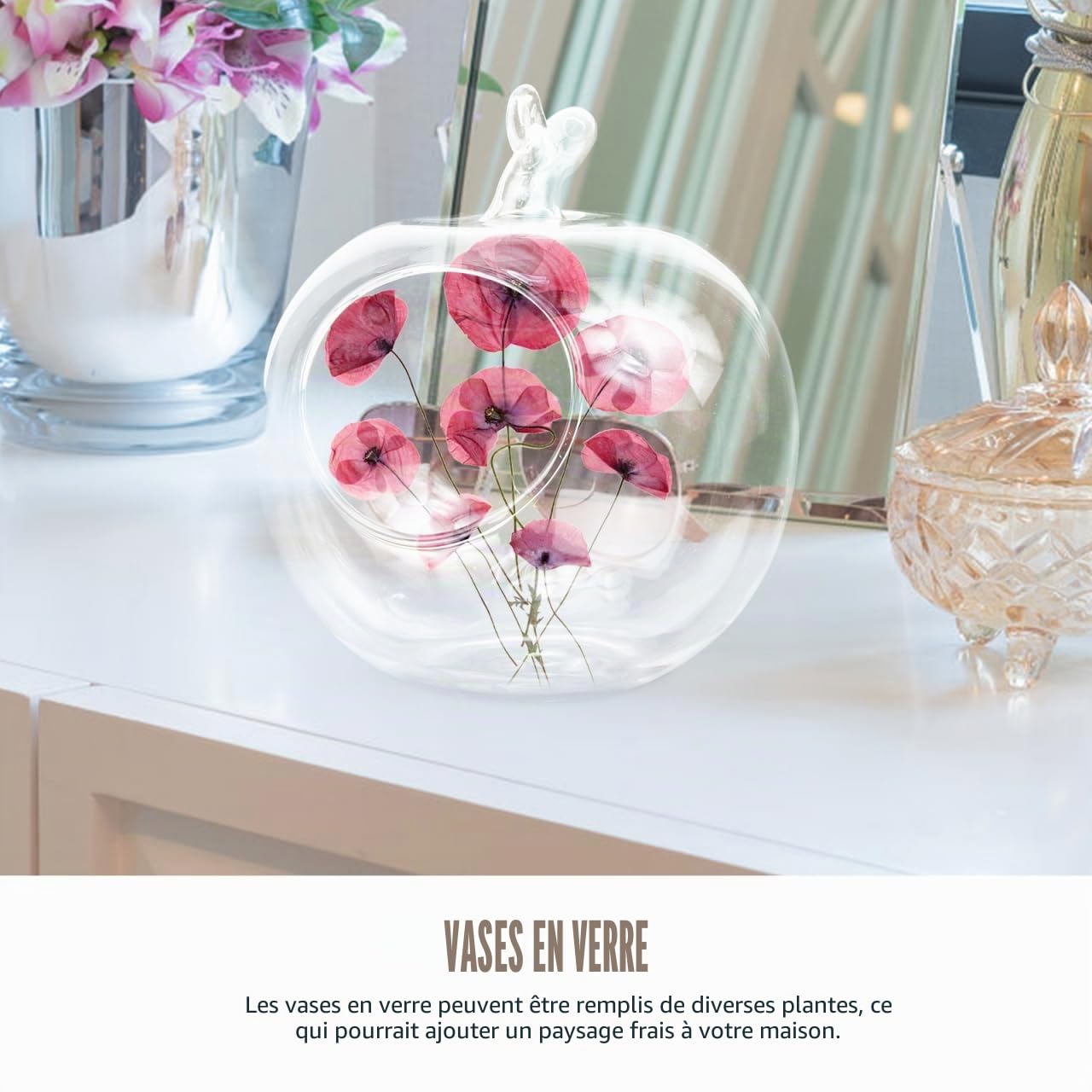 Yardwe Vase en Verre en Forme De Pomme 4.72X3.94 Pouces Récipient Hydroponique Écologique Décoratif pour Plantes Micro Paysage Maison Bureau Jardin