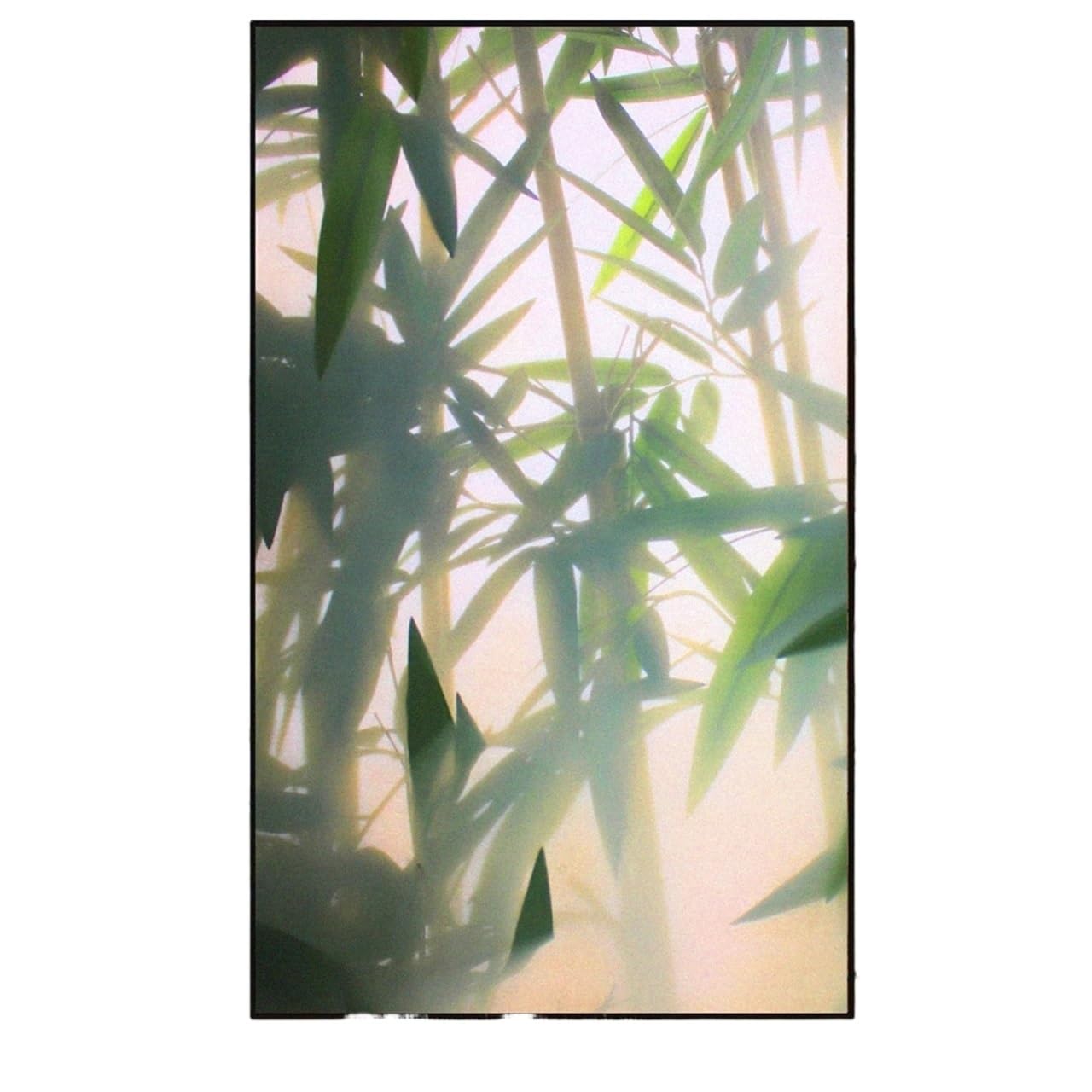 Static Cling Privacy Window Film Heat Control Blocking Glass Frosted for Glass Windows(Green A,70x200cm)