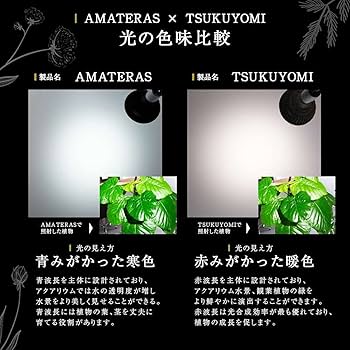 BARRELバレル月読命　ツクヨミ20wホワイトLED　オマケでソケット付き 楽天市場】【3年保証】BARREL公式 植物育成LEDライト