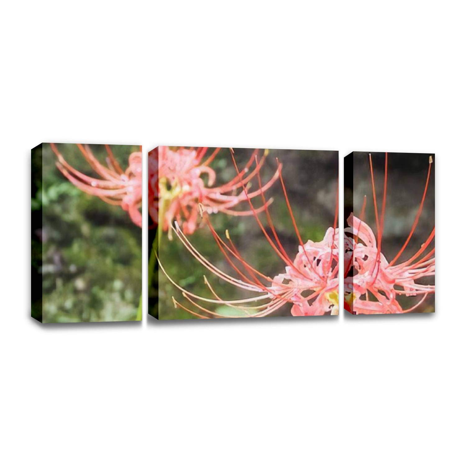 Amazon Com Ccartist Red Spider Lily Lycoris Radiata Cluster Amaryllis Cluster Wall Decor Print On Canvas Modern Artwork Living Room Bedroom Painting Art Wall Posters Prints