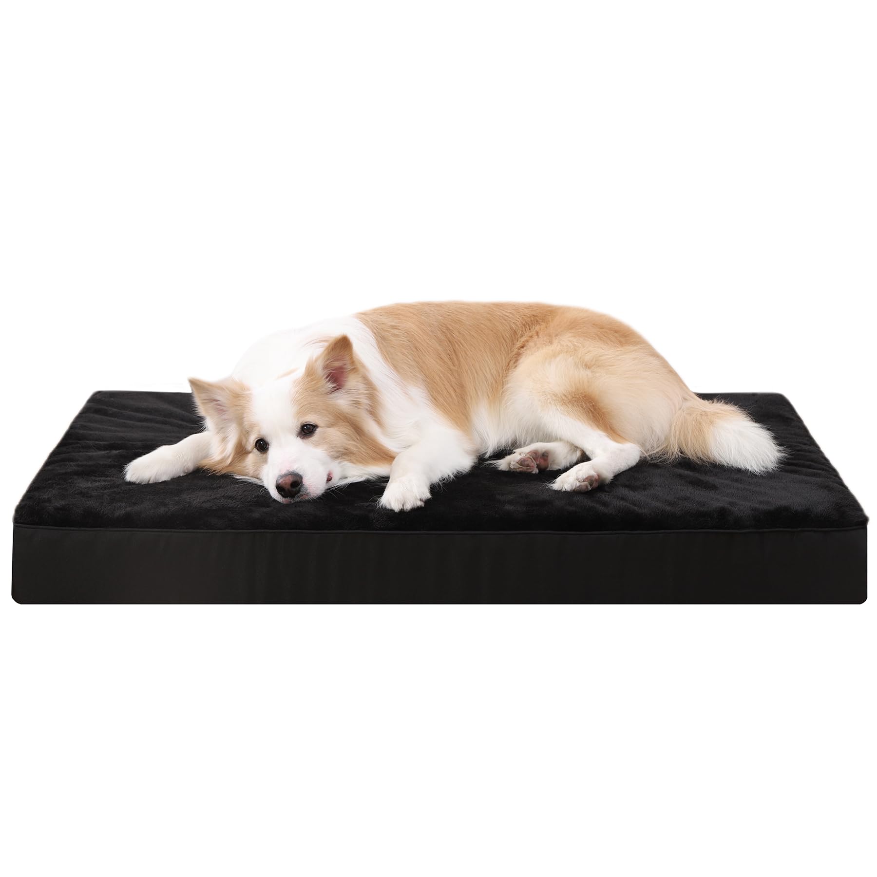 KSIIA Cuscino Cane Media, Cuccia Cane Interno, Sfoderabile e Lavabile, Letto per Cani Ortopedico, Divano per Cani, Base Antiscivolo, Nero 90x55x7cm