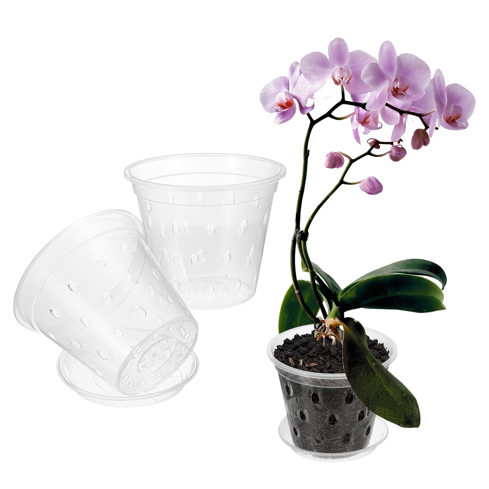 METALLIXITY Lot de 2 pots à orchidée transparents de 17,8 cm avec trous et