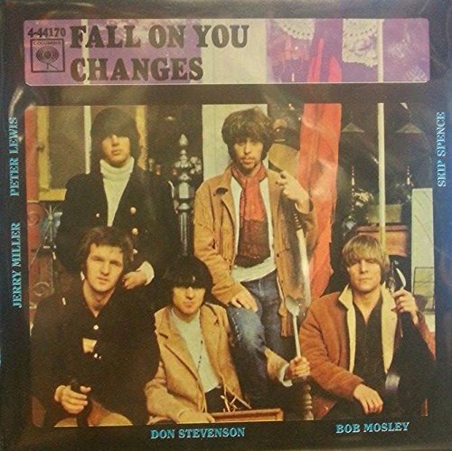 Fall On You/Changes 7" VINYL