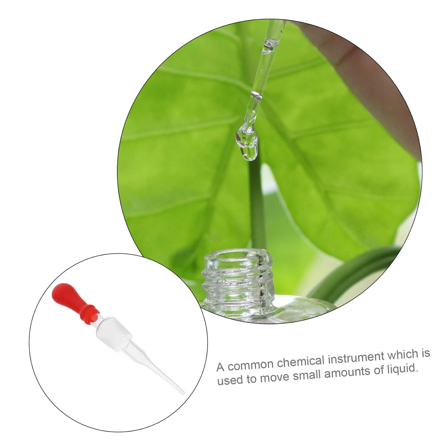 10pcs Glass Droppers White Tips for Liquid Transfer Laboratory Use Easy to Clean Design for Essential Oils and Experiments