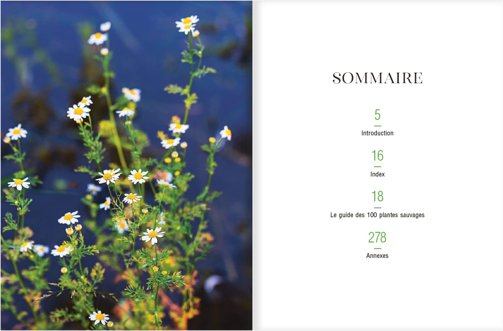 Le guide des plantes sauvages. 100 plantes essentielles aux vertus bienfaisantes - Identification, cueillette, préparation, conservation, propriétés ... plantes essentielles aux vertus bienfaisantes