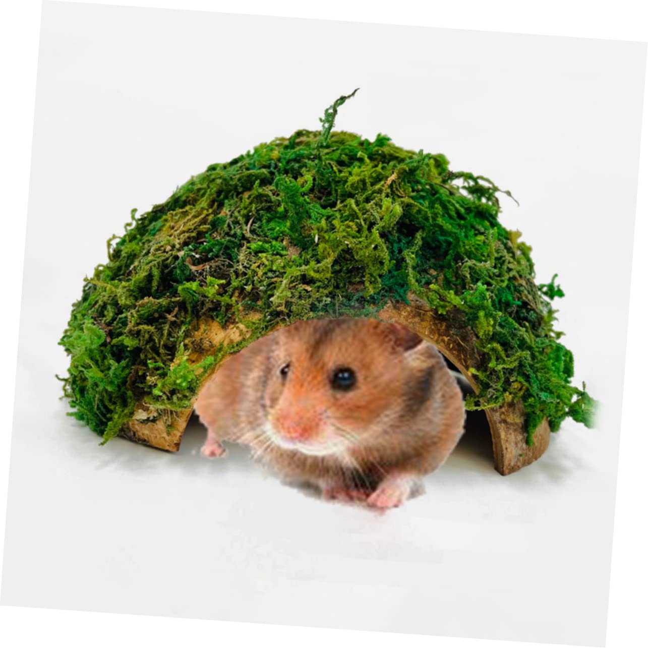 CIYODO Hide Cave Reptile Nests Multi-Functional Shelter House Basking Platform for Small Pets