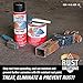 AGS RUST SOLUTIONS Rust Spray Paint, 14oz, Durable Matte Black Finish, Safe for All Surfaces, Eradicate Rust and Ensure Long-Lasting Protection Against Weather and Wear
