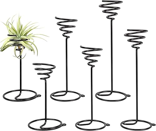 Miniatura 1 de AHANDMAKER Paquete de 6 soportes para plantas de aire, 3 tamaños, contenedor de plantas de aire, soporte Tillandsia para exhibir plantas de aire