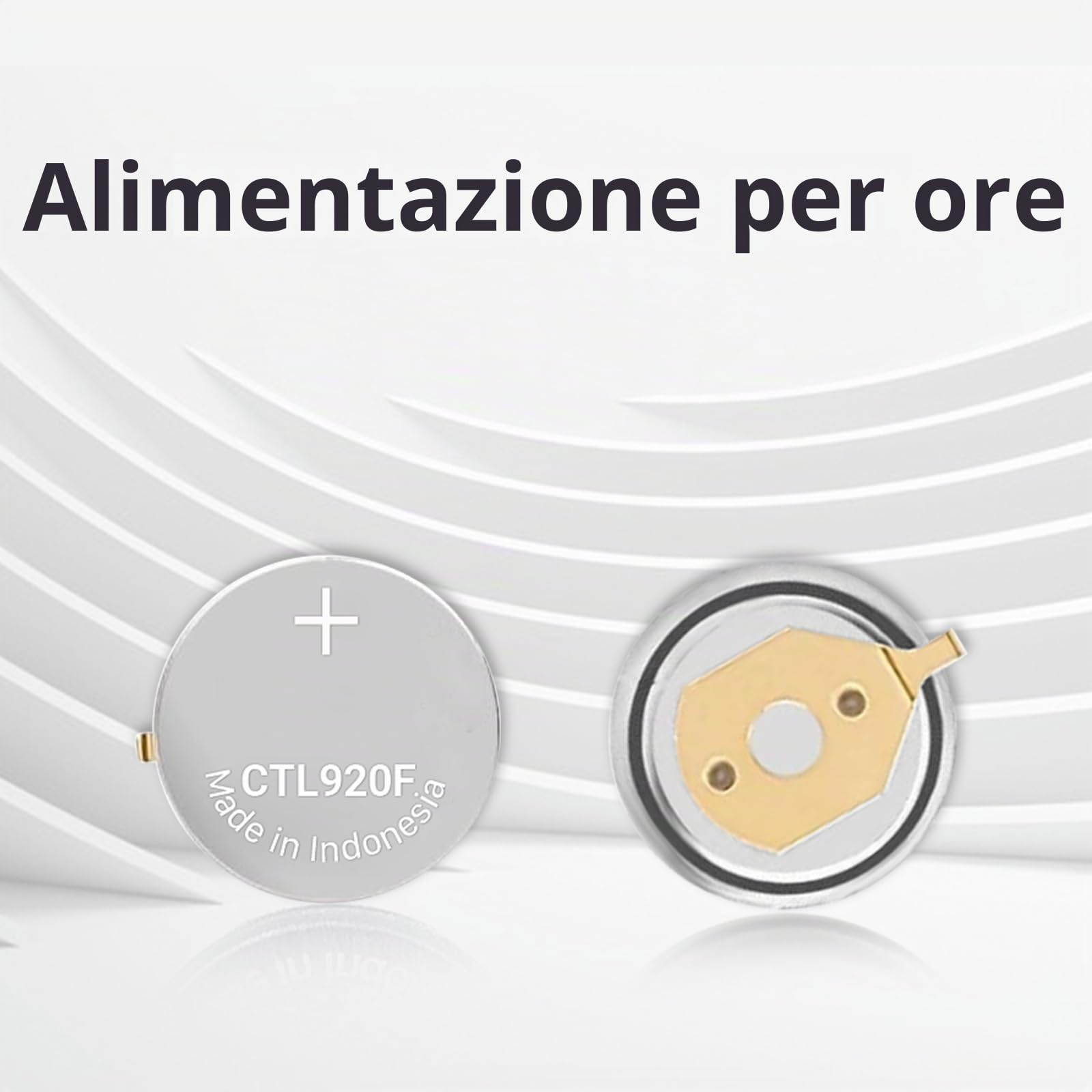 Batteria per Citizen Eco-Drive 295-69 295-6900 CTL920F, compatibile con batteria Panasonic per Citizen Eco DriveE210 E260 E270 E600 E610 E650 E660 E670 G900