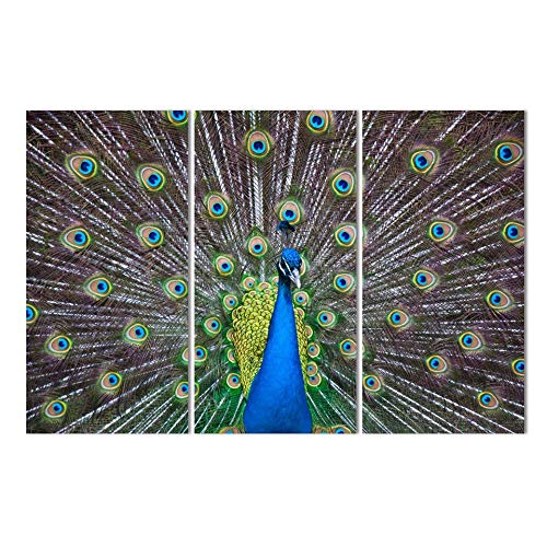 Tableau triptyque mural HD peinture moderne toile 3 pièces paon photo déco
