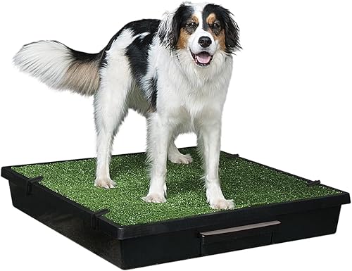 Miniatura 8 de PetSafe baño para mascotas portable., S, Negro