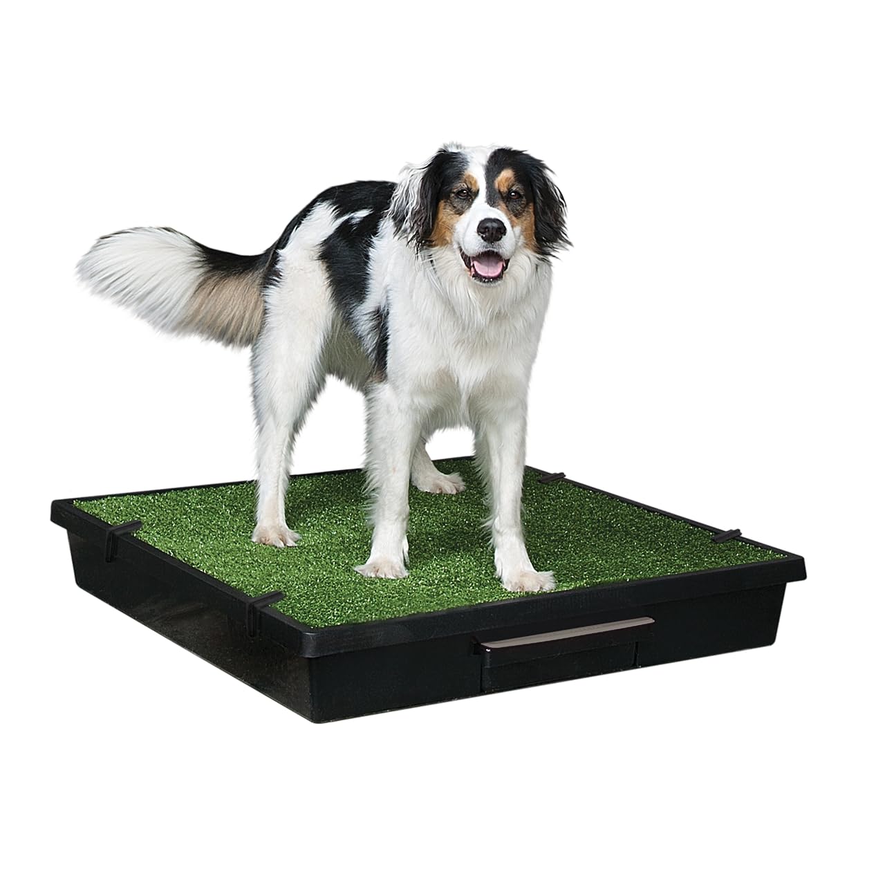 PetSafe Pet Loo Indoor Pet Toilet, Portable Dog Potty Station, Grass Pad Tray of Synthetic Grass Mat, Easy to Clean, Large