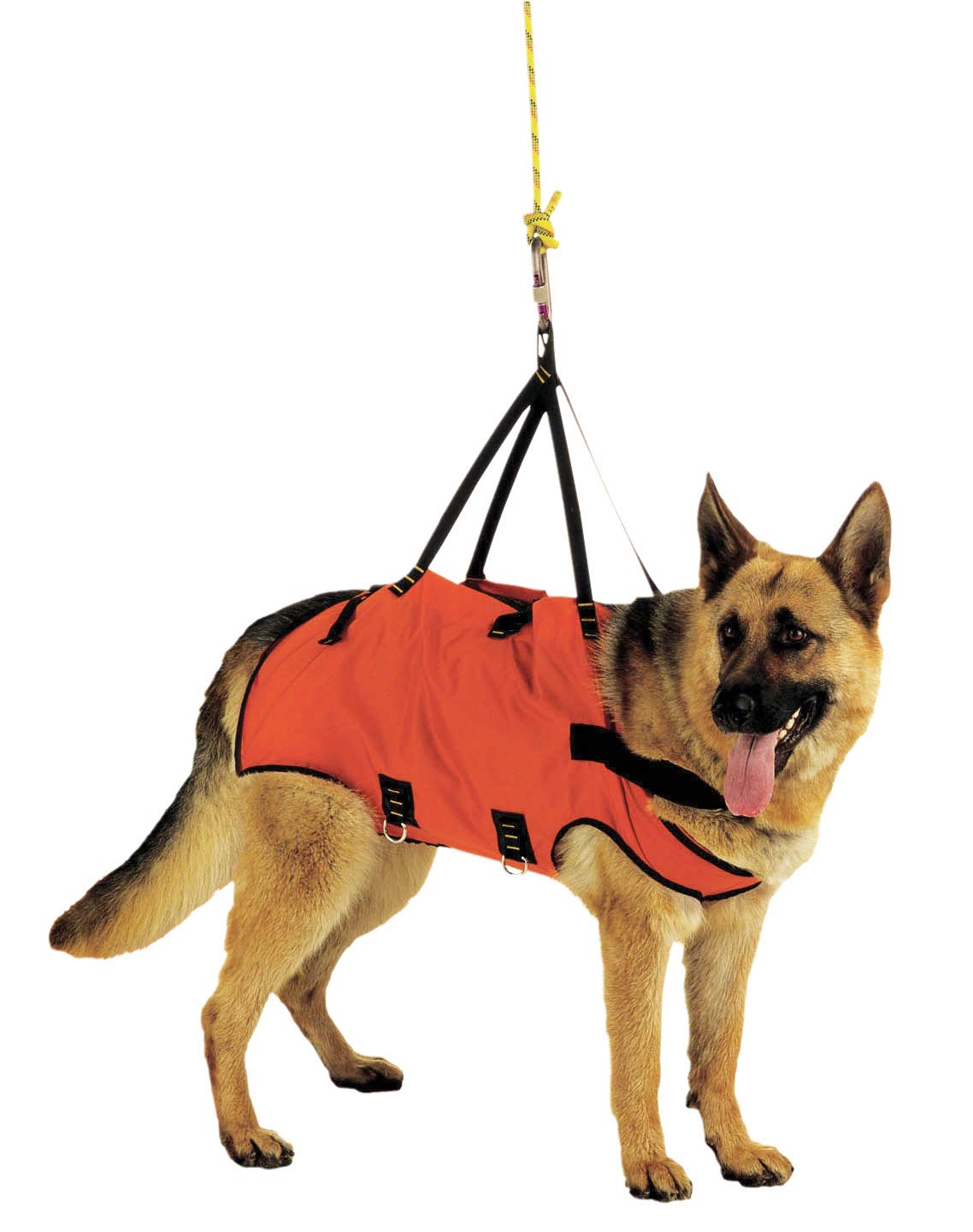 Taxi Dog Harness Vest Harness for Rescue Dogs Size 2, multicoloured